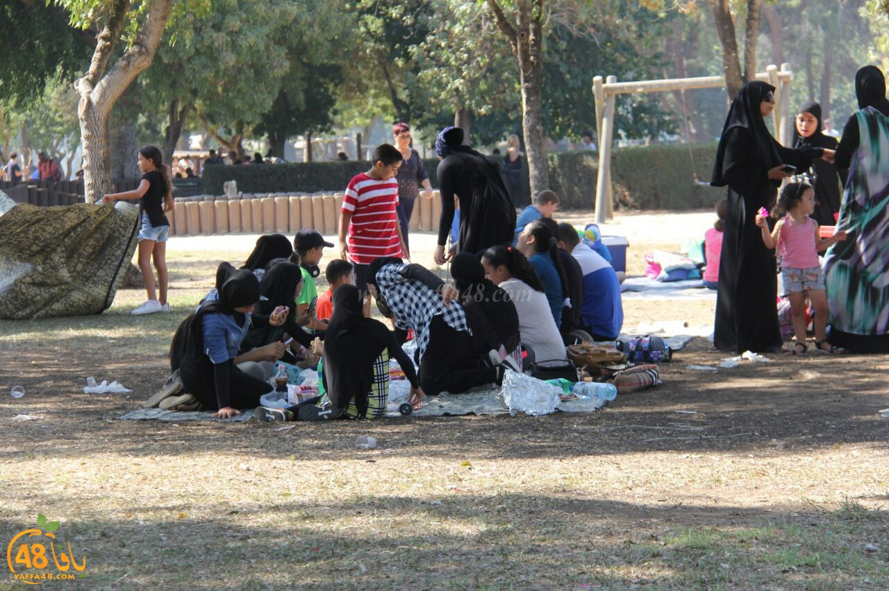 markaz tarfethe (15).jpg